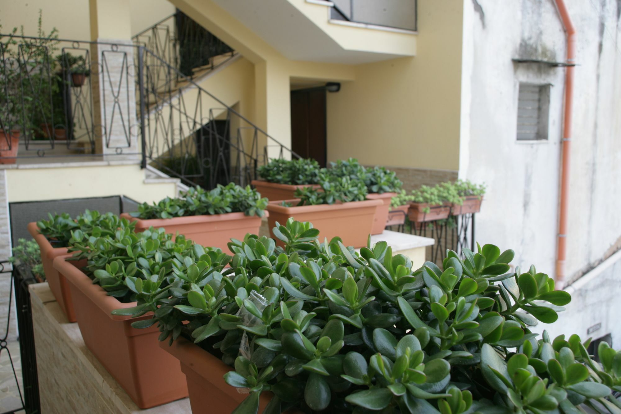 Apartmán Casa Carmen Neapol Exteriér fotografie